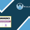 WooCommerce Dashboard Widgets Stats - WorldPress IFY
