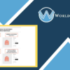 B2B for WooCommerce (by Addify) - WorldPress IFY