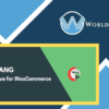 Polylang for WooCommerce - WorldPressIFY