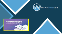 MonsterInsights - eCommerce Addon - WorldPressIFY