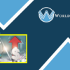 Woocurrency - WorldPressIFY