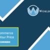 WooCommerce Name Your Price - WorldPress IFY