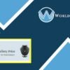 ITS Jewellery Price Plugin - WorldPress IFY
