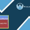Polylang Pro Great Multilingual Plugin - WorldPress IFY