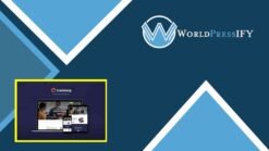 Translang | Translation Services