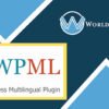 WordPress Multilingual Translation Management Addon - WorldPress IFY