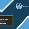 Custom Instagram Feed Pro Developer - WorldPress IFY