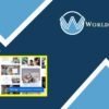 Kingo | Booking WordPress for Small Business - WorldPress IFY