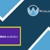 Independent Analytics Pro - WorldPress IFY