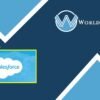 Give Salesforce - WorldPress IFY