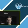 Gilber - Personal CV/Resume WordPress Theme - WorldPress IFY